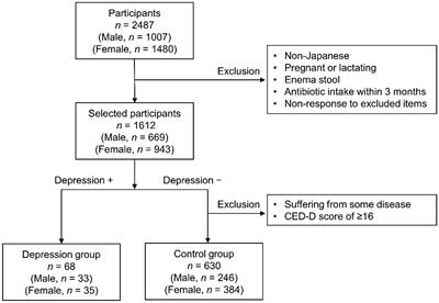 A risk estimation method for depression based on the dysbiosis of intestinal microbiota in Japanese patients